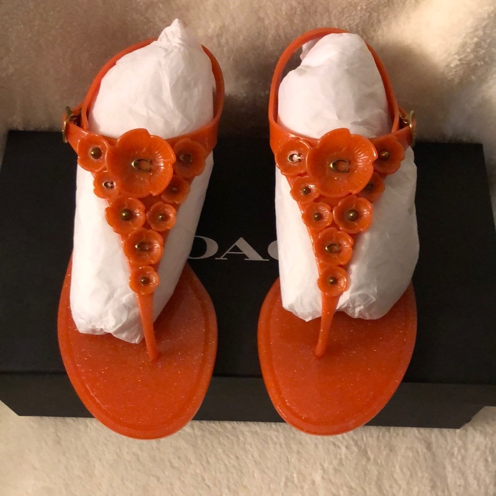NIB Coach tea rose jelly sandals